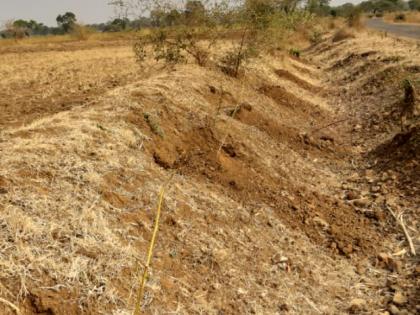 Trees disappears in Khaddgaon-Pimpalgaon area | खडदगाव-पिंपळगाव राजा क्षेत्रावरील झाडे गायब!