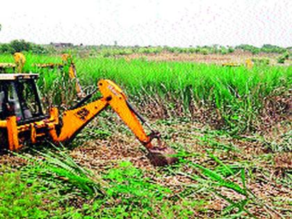 Encroach was deleted! The forest department of Babulgawa is in agriculture and in the road to Rajgurunagar | अतिक्रमणे हटविली! बाभुळगावला वन विभागाने शेतीतील, तर राजगुरुनगरला रस्त्यातील