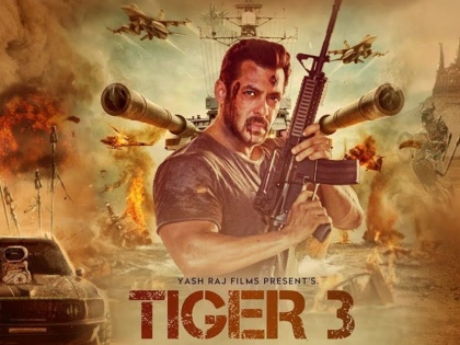Five Fantastic Dialogues From Tiger 3 Salman Khan Movie | व्हायरल होताय 'हे' 5 डायलॉग्स, यातूनचं दिसतं किती दमदार असेल 'टायगर 3'