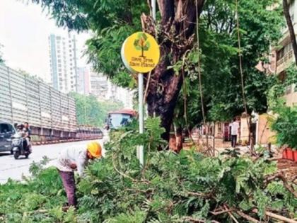 Municipal Corporation will trim branches on private lands for free but responsibility for the accident was shirked | फांद्यांची छाटणी होणार मोफत, मात्र दुर्घटनेची जबाबदारी झटकली