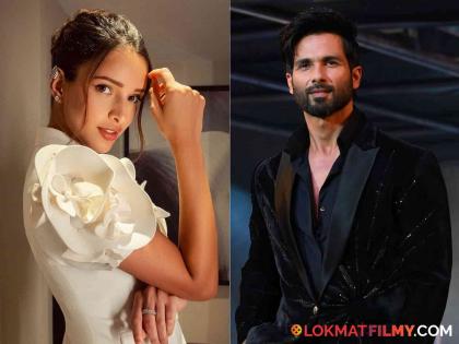 Trupti Dimri hit the big lottery, now she will be seen romancing Shahid Kapoor | तृप्ती डिमरीला लागली मोठी लॉटरी, आता शाहिद कपूरसोबत रोमांन्स करताना दिसणार