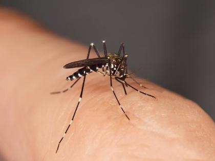 10 dengue-like fever patients in Shantinagar Vasco area in 12 days | बाप रे १२ दिवसात शांतीनगर वास्को भागात आढळले १० डेंग्यू सदृश्य तापाचे रुग्ण