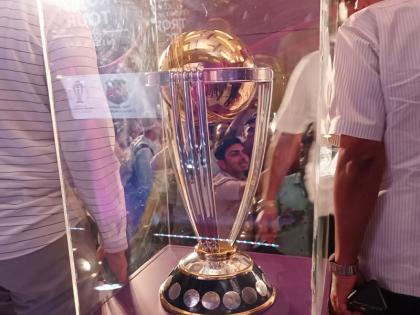 विश्वचषक विश्वचषक