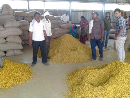 Market for turmeric growers in Manora | मानोऱ्यातील हळद उत्पादकांना हक्काची बाजारपेठ