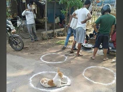 CoronaVirus News Marathi : Viral picture of dog have a lesson on social distancing myb | CoronaVirus News : मुक्या जनावरांना समजलं; माणसांना कधी कळणार? फोटो झाला व्हायरल