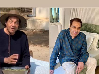 Luxurious farmhouse, expensive cars yet Dharmendra lives a simple life, the actor's farm video goes viral | ना कसला गर्व, ना दिखावा, अत्यंत साधेपद्धतीने सुपरस्टार धर्मेंद्र जगतात आपलं आयुष्य, शेतातला व्हिडीओ व्हायरल