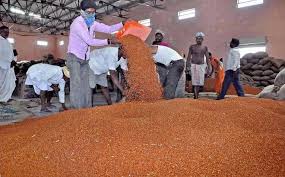 Grains procurement date expired; Tuar purchase painding | भरड धान्य खरेदीची मुदत वाढली; तूर खरेदी रखडली!