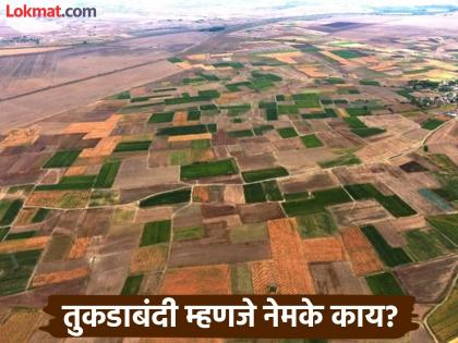 Fragmentation ban will be lifted, 'Land' will be free; Relaxation of law will bring relief to lakhs of farmers | तुकडाबंदी हटणार, होणार ‘रान’ मोकळे; कायदा शिथिल केल्याने लाखो शेतकऱ्यांना दिलासा