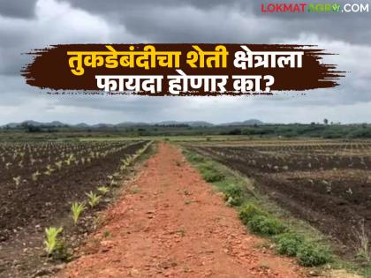 Fragmentation ban lifted, regularization process begins; Will this really benefit the agricultural sector? | तुकडाबंदी रद्द आता नियमितीकरणाच्या प्रक्रियेला प्रारंभ; नक्की शेती क्षेत्राला याचा फायदा होणार का? Fragmentation ban lifted, regularization process begins; Will this really benefit the agricultural sector? | तुकडाबंदी रद्द आता नियमितीकरणाच्या प्रक्रियेला प्रारंभ; नक्की शेती क्षेत्राला याचा फायदा होणार का?