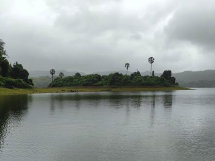 in mumbai water storage at 30 percent heavy rains in dam areas waiting for abundant water continues | गुड न्यूज! पाणीसाठा ३० टक्क्यांवर; धरण क्षेत्रांत पावसाचा जोर, मुबलक पाण्यासाठी प्रतीक्षा