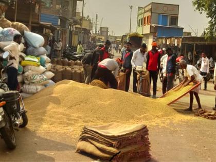 Prices of tur in the market increased; But as soybean prices continued to fall, farmers' worries grew | बाजारपेठेत तुरीचे दर वधारले; पण सोयाबीनच्या भावात घसरण सुरूच, शेतकऱ्यांची चिंता वाढली