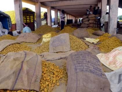 The consignment of turmeric arrived but the price fell; Disappointment on the face of farmers | हळदीचा माल आला पण भाव पडला; शेतकऱ्यांच्या चेहऱ्यावर निराशा