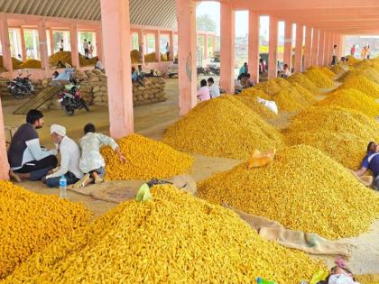 Wow...it's yellower than gold! The price of turmeric is near 19 thousand | वाहह...हे तर सोन्याहून पिवळं! हळदीला १९ हजारांचा भाव