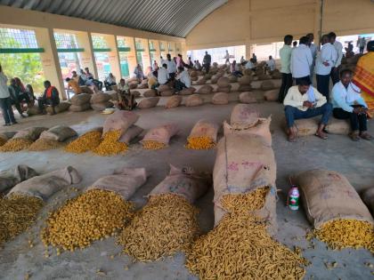 fear of rain; There was so much turmeric came for sale in the Nanded market committee that it took two days to count! | पावसाची धास्ती; नांदेड बाजार समितीत एवढी हळद आली की मोजायला लागले दोन दिवस !