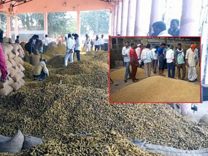 Farmer in stress! Turmeric is under twelve thousand and soybeans are not even five thousand cost! | शेतकरी हवालदिल! हळद बारा हजारांखाली तर सोयाबीन पाच हजारांचाही पल्ला गाठेना!