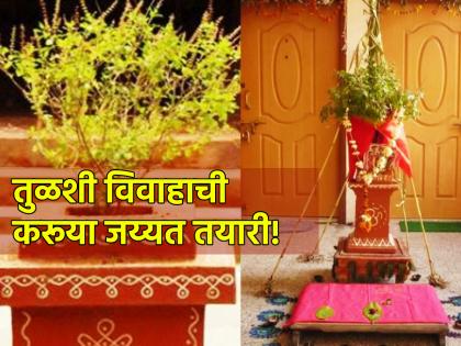 Tulasi Vivah 2023: Tulasi Vivah will be held from today till Tripuri Poornima; Learn the Ritual and Significance! | Tulasi Vivah 2023: आजपासून त्रिपुरी पौर्णिमेपर्यंत रंगणार तुळशी विवाह सोहळा; जाणून घ्या विधी आणि महत्त्व!