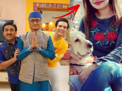 Have you seen Taarak mehta ka ooltah chashmah bapu ji amit bhatt real wife is very beautiful | तारक मेहतामधील चंपकलाल गडा यांच्या रिअल लाईफ पत्नीला पाहिलंत का ?, दिसायला आहे लयभारी