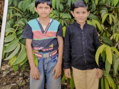 Two brothers fall in the well, die | दोन चिमुकल्यांचा विहिरीत बुडून मृत्यू