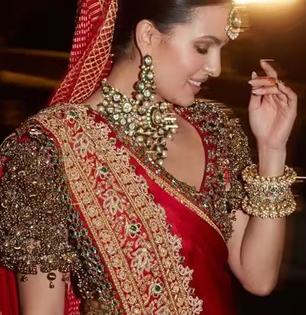 सॅटिनची साडी, रत्नजडित ब्लाऊज - हार्दिक पांड्याची बायको नाताशाचा रॉयल लूक! ब्लाऊजला दागिने लावण्याचा नवा ट्रेण्ड, पाहा फोटो