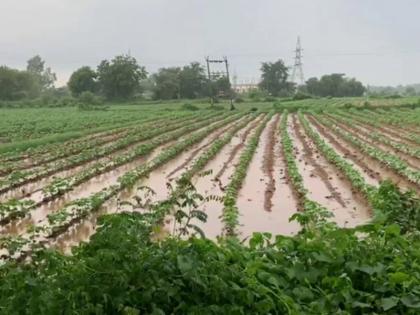 Demands for compensation for those affected by drought; 2 thousand farmers affected | Pune: अवकाळीग्रस्तांना भरपाईची मागणी; ५७० हेक्टरवरील पिकांचे नुकसान