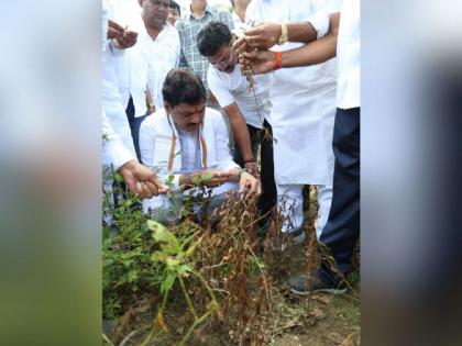 Agriculture Minister Dhananjay Munde will deposit crop insurance advance in the accounts of farmers in the state before Diwali | राज्यातील शेतकऱ्यांच्या खात्यात दिवाळीपूर्वी पीक विम्याचा अग्रीम जमा करणार - कृषीमंत्री धनंजय मुंडे