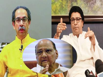 Sharad Pawar's reaction to talks of Raj and Uddhav Thackeray getting together | राज आणि उद्धव ठाकरे यांच्या एकत्र येण्याच्या चर्चांवर शरद पवारांची प्रतिक्रीया, म्हणाले...