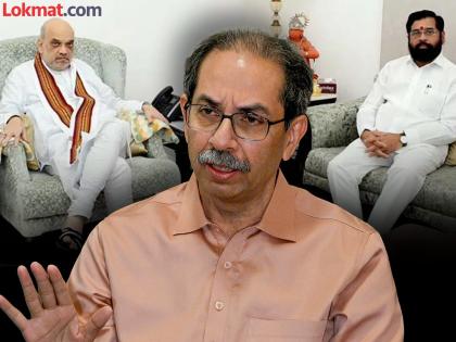 "कोणीतरी दिल्लीला गेलंय, बाबा मारलं म्हणून रडत"; अमित शाहांच्या भेटीवरुन उद्धव ठाकरेंचा शिंदेंना टोला