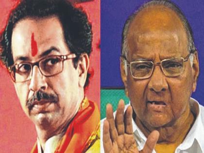 shivsena chief uddhav thackeray slams ncp chief sharad pawar | शरद पवारांना डोकं नावाचा प्रकारही नाही- उद्धव ठाकरे