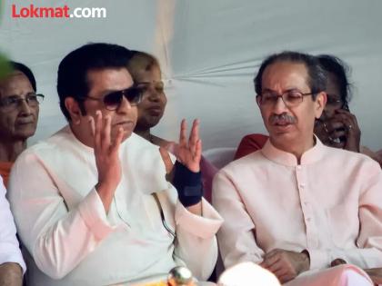 उद्धवसेना, मनसेने अमराठी उमेदवारांनाही दिलं तिकीट; 'मराठीचा नारा' देणाऱ्या ठाकरे बंधूंचं काय आहे 'गणित'? - Marathi News | BMC Election 2026 Shiv Sena UBT and MNS Reach Out to Non Marathi Voters with New Candidate Lists | Latest News at Lokmat.com