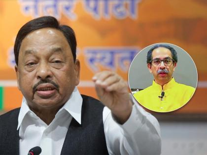 bjp leader minister narayan rane targets uddhav thackeray barsu refinery project oppose konkan | … हेलिकॉप्टरमधून मशाल घेऊन सगळीकडे पेटवत फिरणार का? राणेंचा उद्धव ठाकरेंना टोला