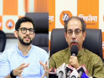 maharashtra assembly vidhan sabha election 2024 shinde group sheetal mhatre criticized aaditya thackeray and uddhav thackeray | “वरळी विकासापासून वंचित, आदित्य ठाकरेंचा परतीचा प्रवास सुरु”; शिंदे गटाची खरमरीत टीका