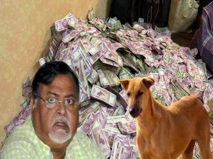 A bungalow reserved for dogs only; TMC Minister Partha Chatterjee, arrested in SSC recruitment scam case | खुलासा! फक्त श्वानांसाठी राखीव ठेवला एक बंगला; निकटवर्तीयाकडे सापडलं मोठं घबाड