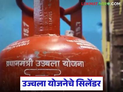Latest news pm Ujjawala yojana How much does a gas cylinder cost for Ujjwala scheme beneficiaries | Ujjawala Scheme : उज्वला योजनेच्या लाभार्थ्यांना गॅस सिलेंडर किती रुपयांना मिळतो, सबसिडी किती मिळते? Latest news pm Ujjawala yojana How much does a gas cylinder cost for Ujjwala scheme beneficiaries | Ujjawala Scheme : उज्वला योजनेच्या लाभार्थ्यांना गॅस सिलेंडर किती रुपयांना मिळतो, सबसिडी किती मिळते?