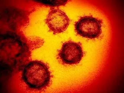 Vietnam detects hybrid of Covid variants found in India UK | CoronaVirus News: धोका वाढला! भारत, ब्रिटनमधील विषाणूपासून व्हिएतनाममध्ये नवा विषाणू तयार