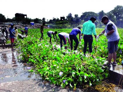 When did the river Ulhas get rid of the waterfalls? | उल्हास नदीची जलपर्णीच्या विळख्यातून सुटका कधी?