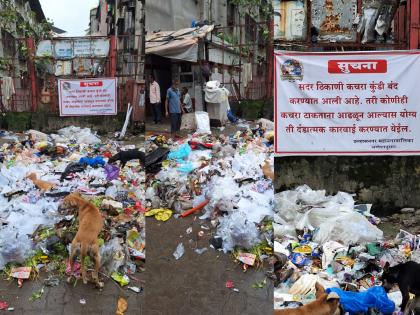 ahead of ganeshotsav in ulhasnagar the empire of waste demand action against the contractor | उल्हासनगरात ऐन गणेशोत्सवापूर्वी कचऱ्याचे साम्राज्य, ठेकेदारावर कारवाईची मागणी