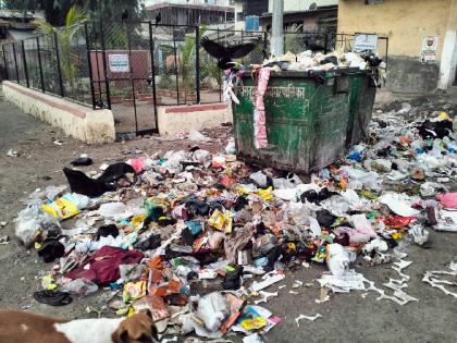 Chief Minister's eagerness to get rid of pollution in vain with waste in Ulhasnagar? | मुख्यमंत्र्यांची प्रदूषण मुक्तीची कळकळ उल्हासनगरातील कचऱ्याने निष्फळ?