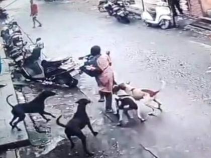 Dog attacks school girl in Ulhasnagar girl safe with help of citizens | उल्हासनगरात शाळकरी मुलीवर श्वानाचा हल्ला; नागरिकांच्या मदतीने मुलगी सुरक्षित