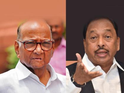 Union Minister Narayan Rane criticizes Sharad Pawar, Sanjay Raut and Uddhav Thackeray after Ajit Pawar takes oath as Deputy Chief Minister of Maharashtra  | "देवेंद्र फडणवीसांच्या यॉर्करवर राष्ट्रवादीचा त्रिफळा", नारायण राणेंचे एका दगडात तीन पक्षी