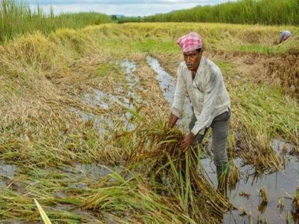 Unseasonal rains are now a huge problem for farmers nashik nandurbar dhule | शेतकऱ्यांवर आता अवकाळी पावसाचे अस्मानी संकट