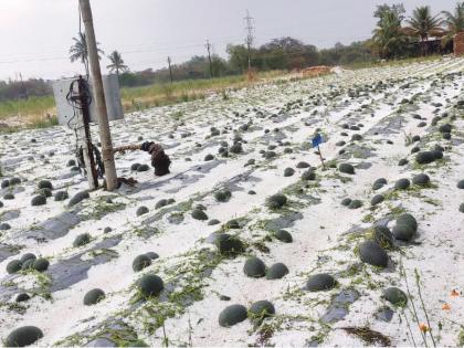 Unseasonal rains to the state again; Hailstorms, damage to orchards | राज्याला पुन्हा अवकाळी पाऊस; गारपिटीचा तडाखा, फळबागांचे नुकसान