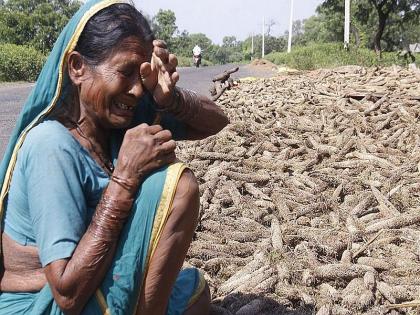 Debt forgiven, waiting to be compensated of unseasonable rain | कर्जमाफी मिळाली, नुकसानभरपाईची प्रतीक्षा