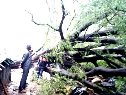 Death of 52-year-old man who was inside slum after a tree fell on the shack his wife is saved | झाड झोपडीवर पडून आत असलेल्या ५२ वर्षीय इसमाचा मृत्यू; पत्नीला वाचवण्यात यश