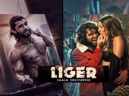 Vijay Deverakonda And Ananya Panday Film Liger Box Office Collection Day 1 | Liger Box office Collection day 1: हिट की फ्लॉप? विजय देवरकोंडाच्या ‘लाइगर’ने पहिल्या दिवशी किती केली कमाई?