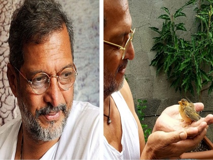 nana patekar share a picture bird sitting on his arm goes viral on social media | नानांना भेटला नवा ‘मित्र’; फोटो असा की नुसता नाद खुळा!