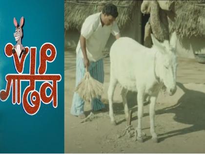 marathi film VIP Gadhav murli donkey passed away | सर्वांना लळा लावणारा ‘मुरली’ गेला; हळहळले ‘व्हीआयपी गाढव’चे कलाकार
