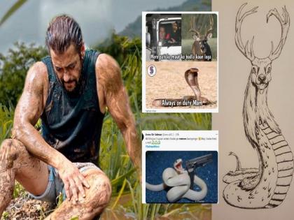 Salman Khan Was Bitten By A Snake Fans And Users Shared Funny Memes On social media | सलमानला साप चावला अन् नेटकऱ्यांना काळवीट आठवला...! सोशल मीडियावर मीम्सचा पाऊस