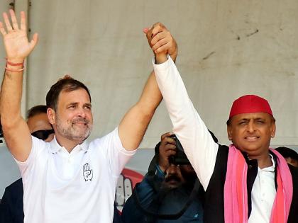 Uttar Pradesh Assembly by Election 2024: 'INDIA' will show strength in by-elections in Uttar Pradesh, Congress-SP will fight together, BJP's tension will increase? | उत्तर प्रदेशमध्ये पोटनिवडणुकीत ‘INDIA’ ताकद दाखवणार, काँग्रेस-सपा एकत्र लढणार, भाजपाचं टेन्शन वाढणार?