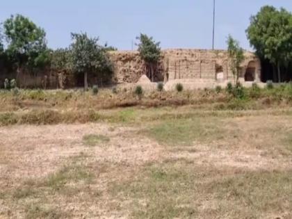 11-room underground house made of cardboard! Sunlight is also provided in the two-storied house; The video went viral | पठ्ठ्याने जमिनीखाली ११ खोल्यांचे बनवले घर! दोन मजली घरात सूर्यप्रकाशाचीही व्यवस्था; व्हिडीओ व्हायरल