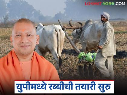 Yogi government in Uttar Pradesh focuses on timely availability and distribution of Rabi seeds | उत्तर प्रदेशमध्ये योगी सरकारकडून रब्बी बियाण्यांची वेळेत उपलब्धता आणि वितरणावर भर Yogi government in Uttar Pradesh focuses on timely availability and distribution of Rabi seeds | उत्तर प्रदेशमध्ये योगी सरकारकडून रब्बी बियाण्यांची वेळेत उपलब्धता आणि वितरणावर भर